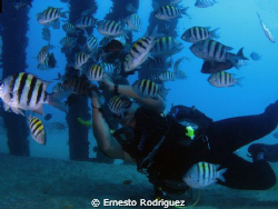 CrashBoat can g9 with inon strobes my buddy playing with ... by Ernesto Rodriguez 